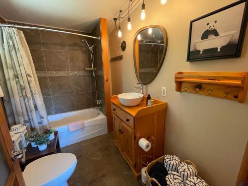 a bathroom with a sink and a toilet and a mirror at Algonquin Waterfront and Winter Paradise With Sunsets in Algonquin Highlands