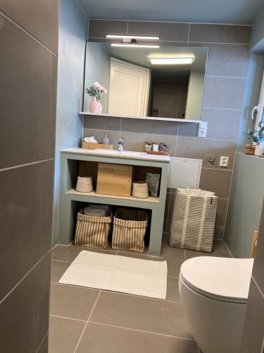 a bathroom with a sink and a toilet and a mirror at Nyoppusset studio nær Horten sentrum in Nykirke