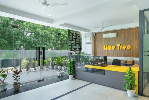 a time tree office with potted plants and a yellow counter at Lime Tree Hotel & Stays Greater Noida Nearby India Expo Centre & Mart in Greater Noida