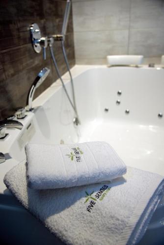 Gallery image of Five Senses Luxury Villas in Vourvourou