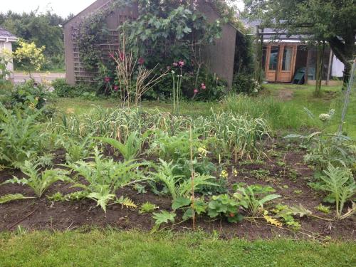 a garden with plants in front of a house at Lisieux House on Lough Neagh in Aghalee