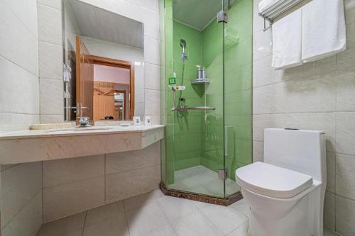 a bathroom with a shower and a toilet and a sink at GreenTree Inn Haixi Geermu Southern suburbs Express Hotel in Golmud