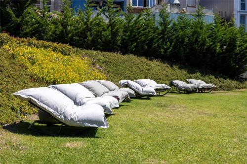 a row of pillows lined up in the grass at Cenica Porto Hotel, Curio Collection By Hilton in Porto