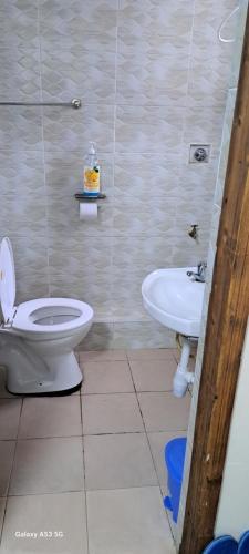 a bathroom with a toilet and a sink at Swanky Stays Studio Ngong in Nairobi
