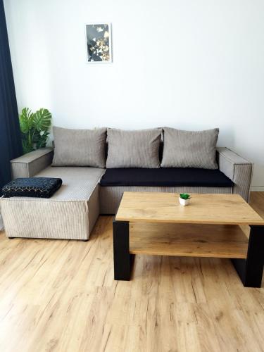 Rynek Golden Stay by Grafit