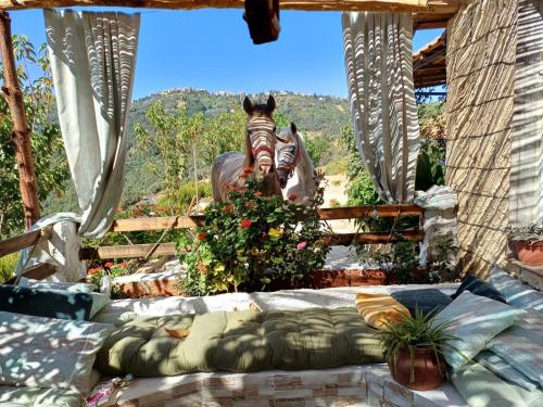 Auberge De La Cavalière