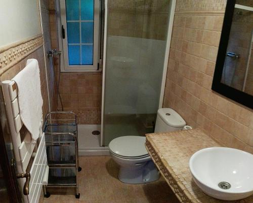 a bathroom with a toilet and a shower and a sink at Apartamentos Los Balcones in Tineo