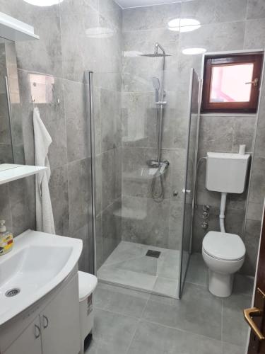 a bathroom with a shower and a toilet and a sink at Zeleni horizont 