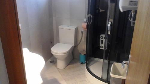 uma pequena casa de banho com WC e chuveiro em Apartment Ivano em Fažana