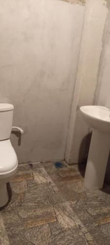 a bathroom with a toilet and a sink at Cheeky Mango Ella in Ella
