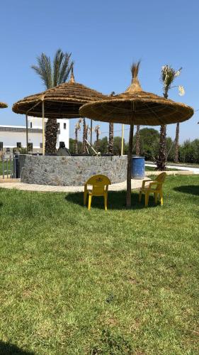 two yellow chairs and umbrellas in a park at Appartement au cœur de la nature route Saïdia in Berkawe