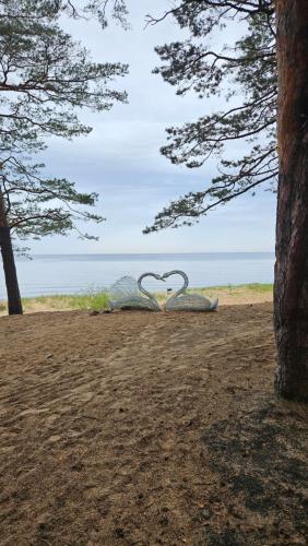 a sculpture of a heart is sitting on the beach at Mājīgs dzīvoklis netālu no jūras in Skulte