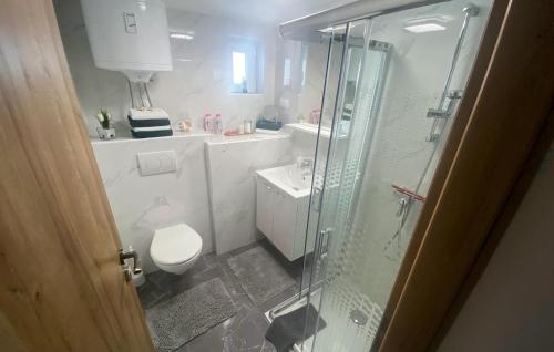 Bilik mandi di Awesome Apartment In Karlobag With House Sea View