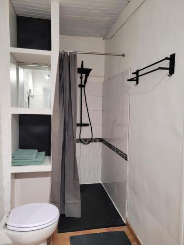 a bathroom with a shower and a toilet at Maisonnette avec terrasse sur le Gardon in Anduze