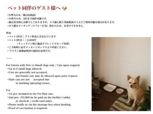 a screenshot of a post with a dog sitting on a rug at chichinpuipui house2 in Kirishima