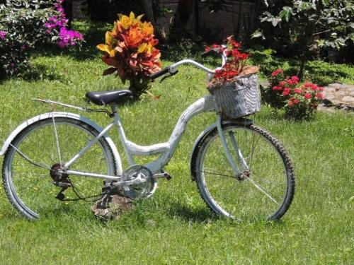 a bike parked in the grass with flowers in a basket at Don Café - Luxury and confort in Manizales