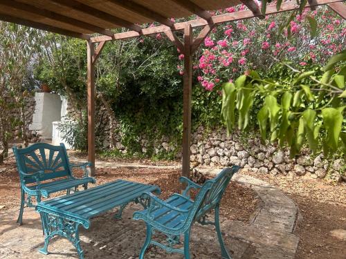 two blue chairs and a picnic table under a pergola at Agroturismo Matxani Gran in Sant Climent