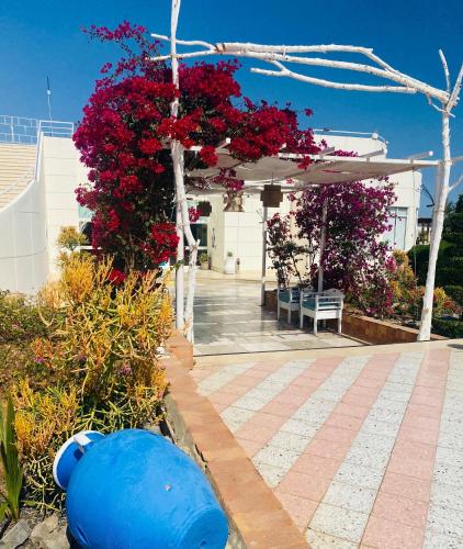 Un jardín fuera de Sharm Reef Hotel