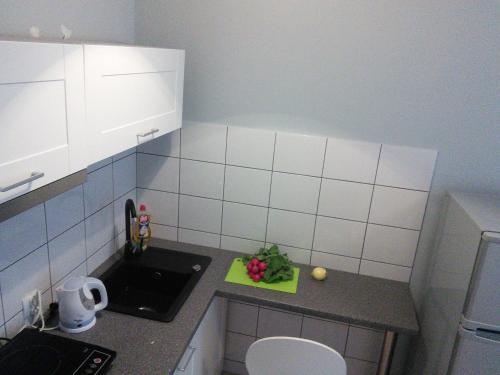 a small kitchen with a counter with a sink at FRESCO Suite & Rooms in Łódź