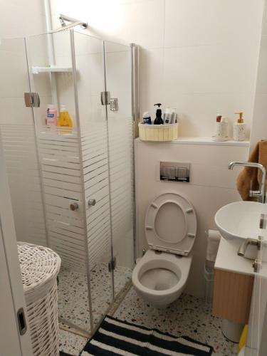 a bathroom with a toilet and a shower and a sink at Rony's Place in Ramat Gan