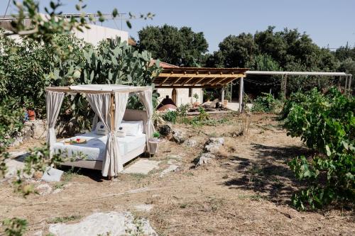 Vườn quanh Star Sleep Dourakis Winery Chania