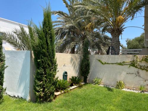 a fence with palm trees and a green door at La Villa Bleue Djerba Houmt Souk in Houmt Souk