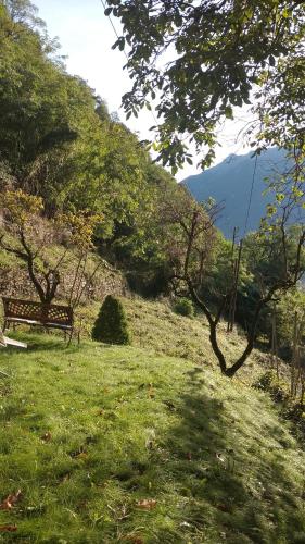 a park bench sitting on a grassy hill with a mountain at Villa Amaranta Room and Breakfast in Edolo