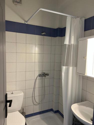 a bathroom with a shower with a toilet and a sink at Kanarinia Guesthouse in Kala Nera
