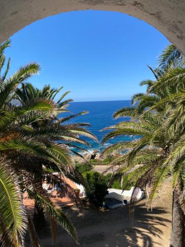 a view of the ocean from a beach with palm trees at Villa les Palmiers in Calcatoggio