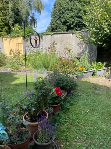 a garden with many pots of flowers and plants at Juwel in Neuss, 12 min vom HBF Düsseldorf entfernt in Neuss