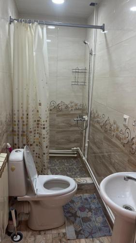 a bathroom with a toilet and a shower and a sink at Norik guest house in Garni