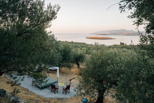 Φυσικό τοπίο κοντά σε οργανωμένο κάμπινγκ