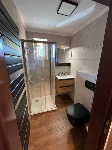 a bathroom with a shower and a toilet and a sink at Hutorok in Strübbel