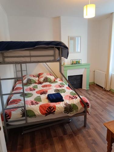 a bunk bed in a room with a fireplace at Maison de bourg à saint martin le beau in Saint-Martin-le-Beau