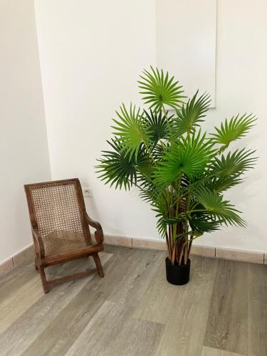 Photo de la galerie de l'établissement Ananas appart, à Saint-Denis