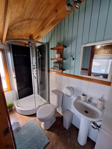 a bathroom with a shower and a toilet and a sink at Hostal Senderos del Sur in Freire