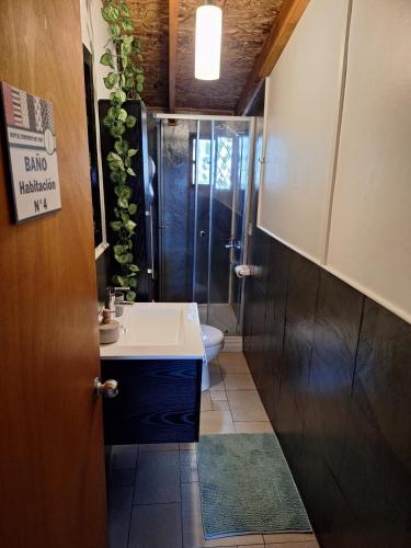 a bathroom with a shower and a sink and a toilet at Hostal Senderos del Sur in Freire