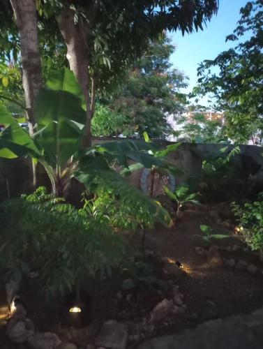 a view of a garden at night at Casa Coco Cabana 