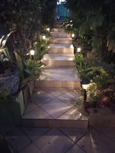 a pathway with lights in a garden at night at Casa Coco Cabana 