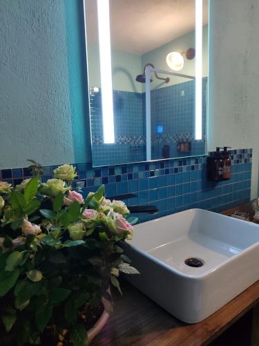 a bathroom sink with a potted plant next to it at Serendipity in Kampersrus AH