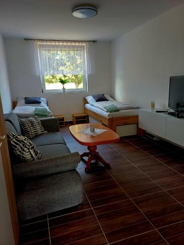 Apartmán u Přívozu