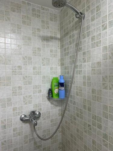 a shower in a bathroom with green and blue bottles on a shelf at Vila di Marko & Nati in Pogradec