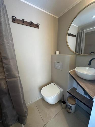 a bathroom with a toilet and a sink and a mirror at Studio Proche Gare, Centre ville in Agneaux