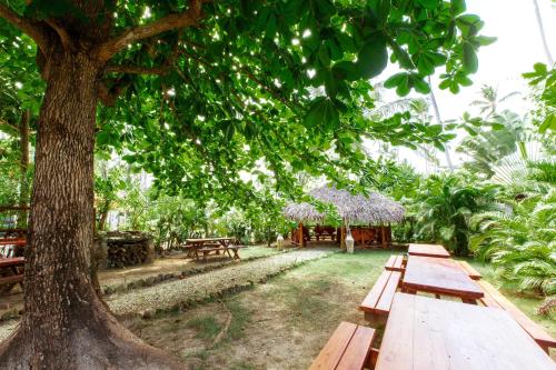 a group of picnic tables under a tree at CAMPO DEL MAR - STUDIOS and SUITES - LOS CORALES beach in Punta Cana