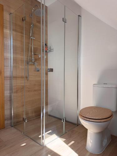 a bathroom with a toilet and a glass shower at Cosy Cottage in Vyšná Boca in Liptovská Sielnica