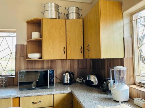 a kitchen with wooden cabinets and a microwave oven at Bird & Bed Farmhouse in Brits