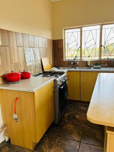 a kitchen with a stove and a sink in it at Bird & Bed Farmhouse in Brits