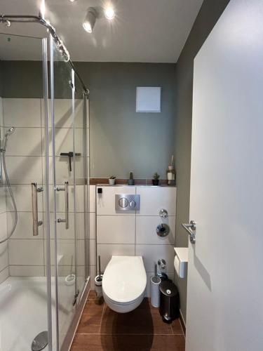 a bathroom with a toilet and a shower at Kleines Glück Cityapartment in Würzburg