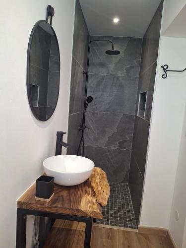a bathroom with a sink and a shower at Les Baies Roses in Bras-Panon