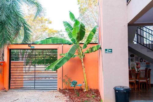 a small palm tree in front of a garage at Pousada Passarada - Tudo novinho te esperando in Pirenópolis